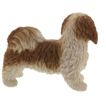 シーズー(大)QY-182 紅石