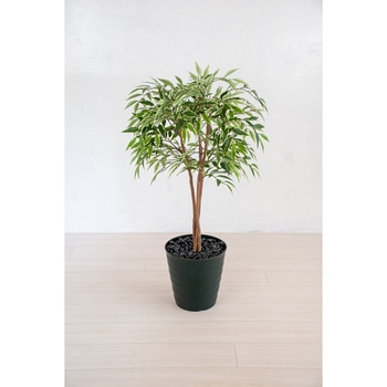 人工樹木/人工観葉植物 シラカシ 岩や