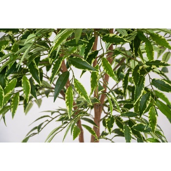 人工樹木/人工観葉植物 シラカシ 岩や