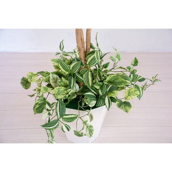 人工樹木/人工観葉植物 ベンジャミン寄植 岩や