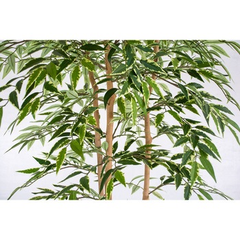 人工樹木/人工観葉植物 シラカシ寄植 岩や
