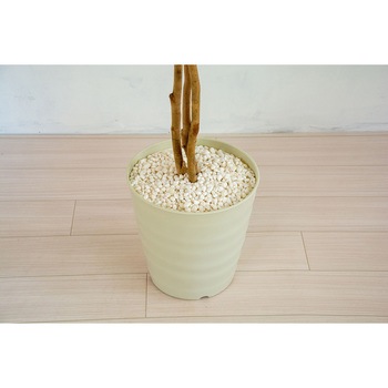 人工樹木/人工観葉植物 ベンジャミン 岩や