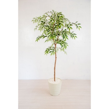 人工樹木/人工観葉植物 シラカシ 岩や