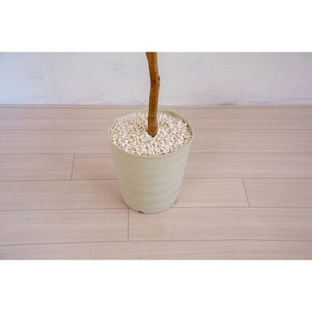 人工樹木/人工観葉植物 ベンジャミン 岩や