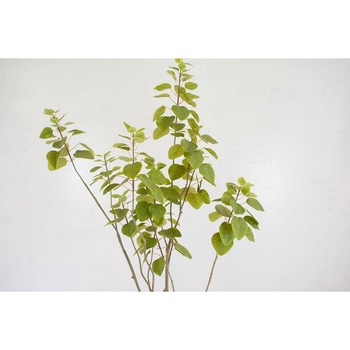 人工樹木/人工観葉植物 スモークツリー 岩や