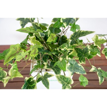 人工樹木/人工観葉植物 アイビー 岩や