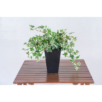 人工樹木/人工観葉植物 オランダアイビー 岩や