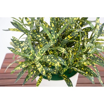 人工樹木/人工観葉植物 ホソバクロトン 岩や