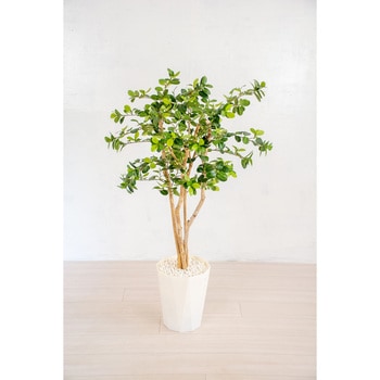 人工樹木/人工観葉植物 ガジュマル 岩や