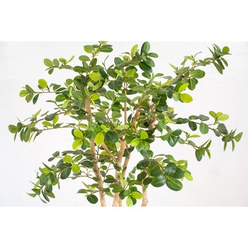 人工樹木/人工観葉植物 ガジュマル 岩や