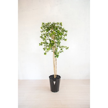 人工樹木/人工観葉植物 ガジュマル 岩や