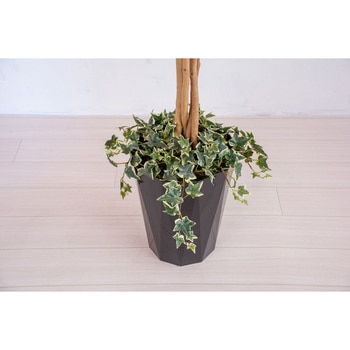 人工樹木/人工観葉植物 パキラ 岩や