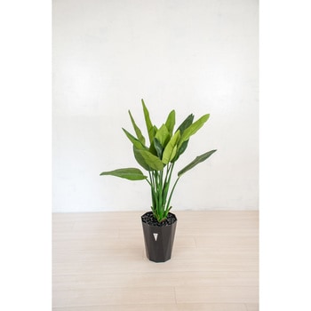 人工樹木/人工観葉植物 ストレチア 岩や