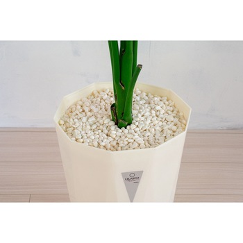 人工樹木/人工観葉植物 ストレチア 岩や
