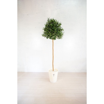 人工樹木/人工観葉植物 オリーブ 180cm 岩や