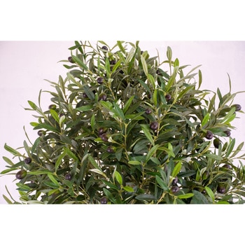 人工樹木/人工観葉植物 オリーブ 180cm 岩や