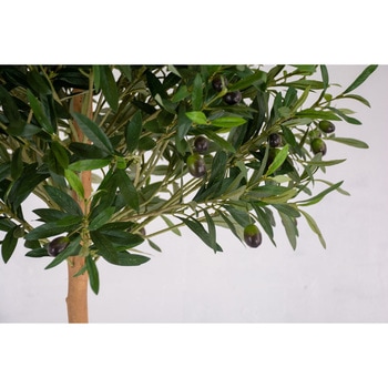 人工樹木/人工観葉植物 オリーブ 180cm 岩や