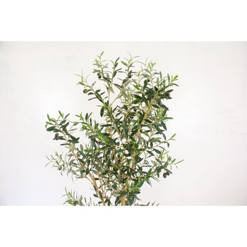 人工樹木/人工観葉植物 オリーブ 岩や