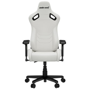 Kaiser Frontier M/クラウディホワイト Andaseat(アンダシート)