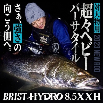 ブリスト ハイドロ Fishiman(フィッシュマン)