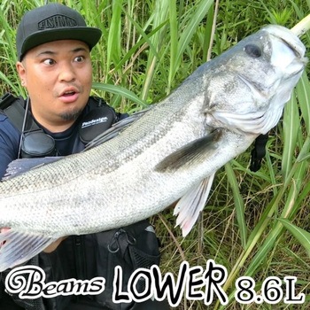 ビームス ローワー Fishiman(フィッシュマン)