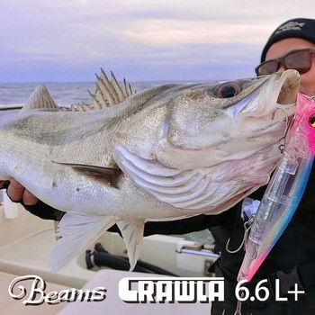 6.6L+ FB-66L+ ビームス クローラ Fishiman(フィッシュマン) 全長201cm - 【通販モノタロウ】