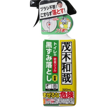 茂木和哉 トイレの黒ずみ落とし 茂木和哉