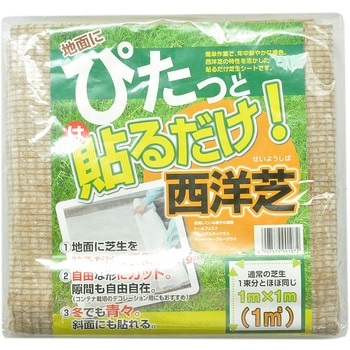 ぴたっと貼るだけ西洋芝 自然応用科学