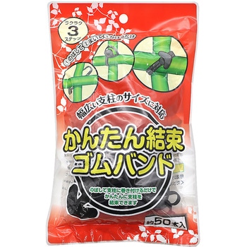 菊のインバイト 渡辺泰