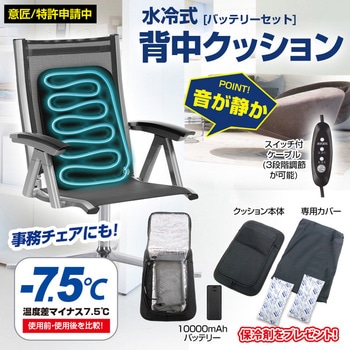 水冷式背中クッション ブレイン