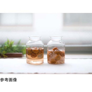 ガラスの手仕事保存びん 1L HARIO