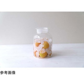 ガラスの手仕事保存びん 1L HARIO