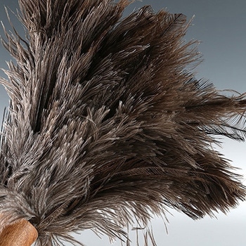 FEATHER DUSTER (フェザーダスター) ダルトン
