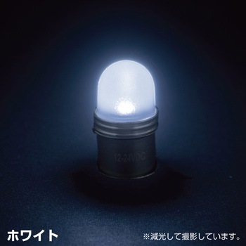 LED電球タイプキャンディーバルブ 12/24V共用 JET INOUE(ジェットイノウエ)