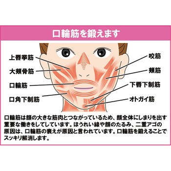 オムニ NEWフェイシャルリフトアトワンス 表情筋エクササイズ美顔器 防水 OMNI