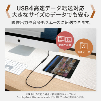 手持ちのUSB Type-Cケーブルを有効利用 急速充電/高速データ通信対応 Type-C to C 延長ケーブル OWLTECH(オウルテック)