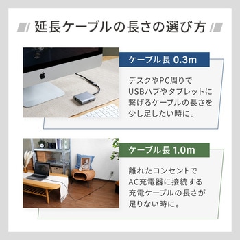 手持ちのUSB Type-Cケーブルを有効利用 急速充電/高速データ通信対応 Type-C to C 延長ケーブル OWLTECH(オウルテック)