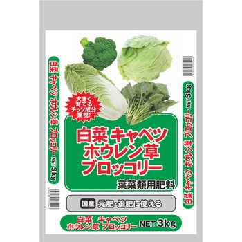 白菜キャベツホウレン草ブロッコリー セントラルグリーン