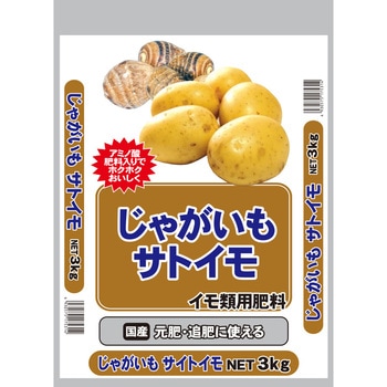じゃがいもサトイモ セントラルグリーン