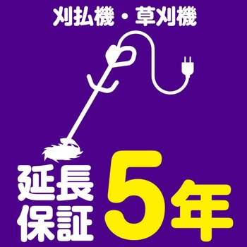 今年2月購入　延長保証ありDX180 今年2月購入 延長保証ありDX180 iBasso Audio DX180 [128GB