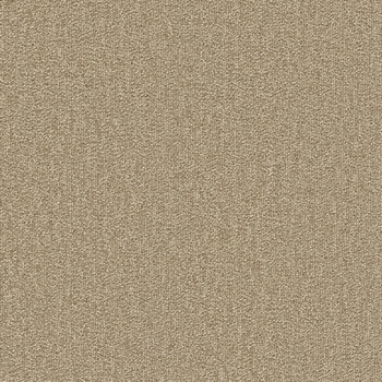 SQPRO ニューテック シンコール