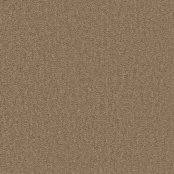 SQPRO ニューテック シンコール