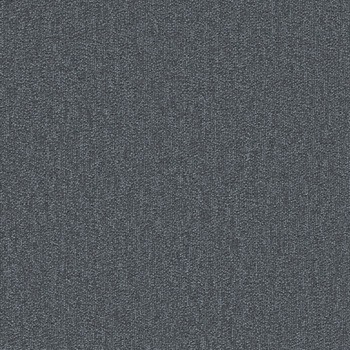 SQPRO ニューテック シンコール
