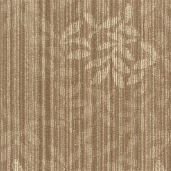 SQPRO エルフ シンコール