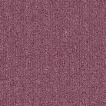 SQPRO パルコ シンコール