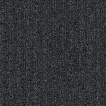 SQPRO パルコ シンコール