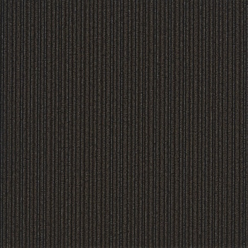 SQPRO パルコ ランダム シンコール