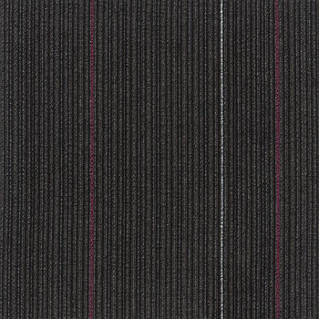 SQPRO パルコ レイ シンコール