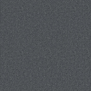 SQPRO パルコN 裏面のり付 シンコール