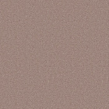 SQPRO パルコN 裏面のり付 シンコール